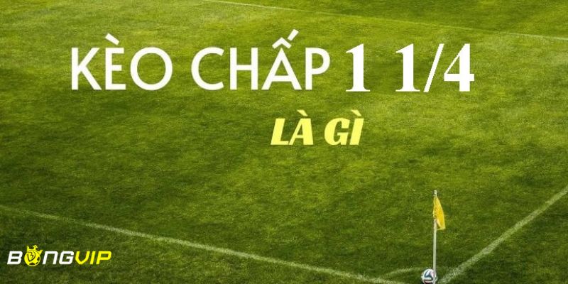 kèo chấp 1 1/4 Kinh nghiệm đặt cược kèo chấp 1 ¼ bất bại từ cao thủ