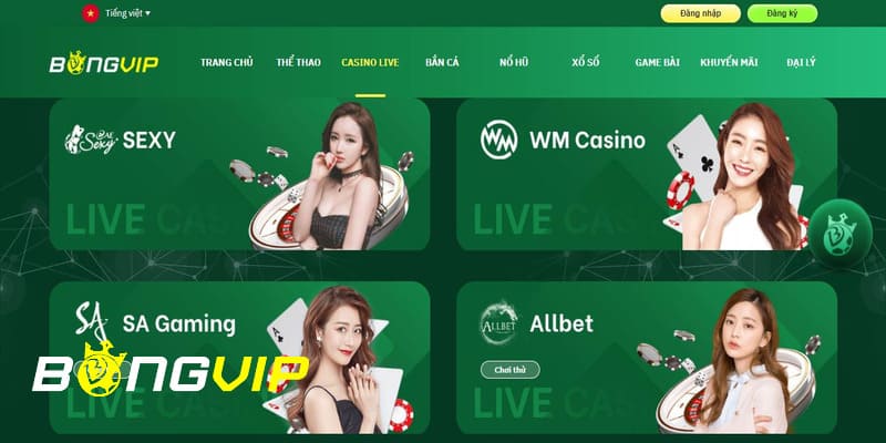 Thay đổi nhà cái đến với bongvip Thay đổi nhà cái đến với bongvip