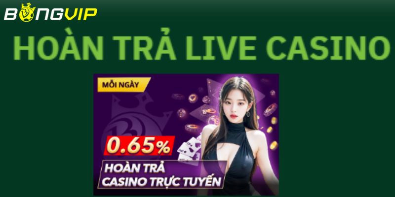 hoàn trả casino trực tuyến Giới thiệu về chương trình hoàn trả casino trực tuyến