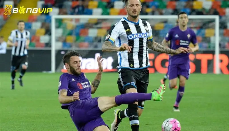 Soi kèo Udinese vs Fiorentina 26/05 giải đấu Serie A Nhận định kèo chuẩn xác từ chuyên gia bongvip