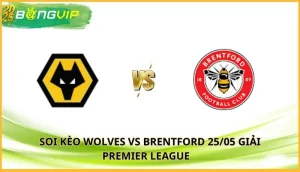 soi kèo Wolves vs Brentford