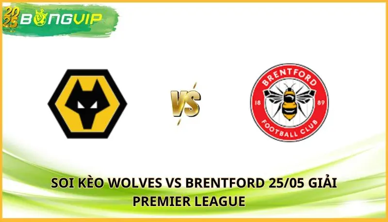 soi kèo Wolves vs Brentford